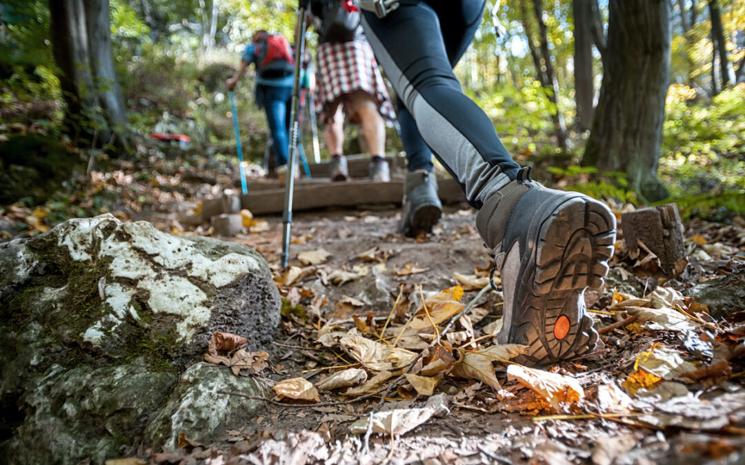 How do we climb a mountain or do anything at all? One step at a time.