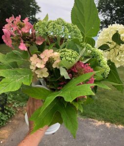 This image is of blooms from three late-summer flowers, in a white ceramic coffee carafe, held up in the hand of the gardener.